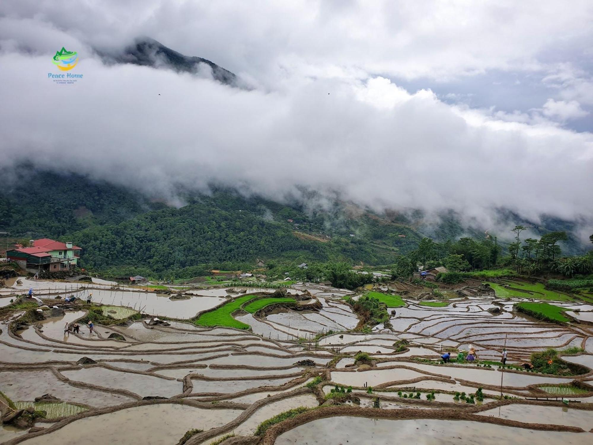 Peace Home Sapa Exterior foto
